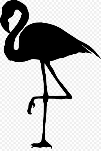 Wall decal Bumper sticker Flamingo -  