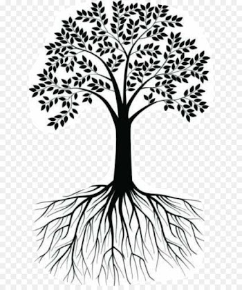 Wall decal Root Tree Clip art Illustration - tree 