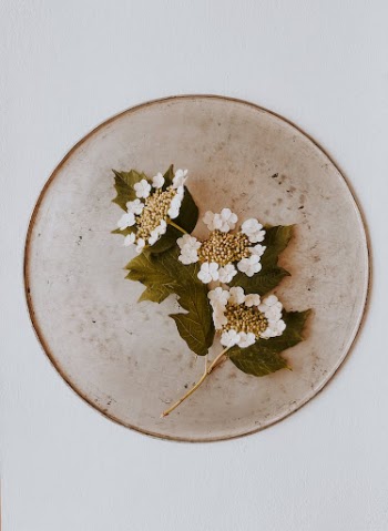 Wall Decor with Flowers