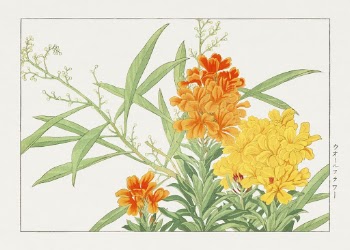 Wall flower woodblock painting by Tanigami | Free Photo Illustration - rawpixel