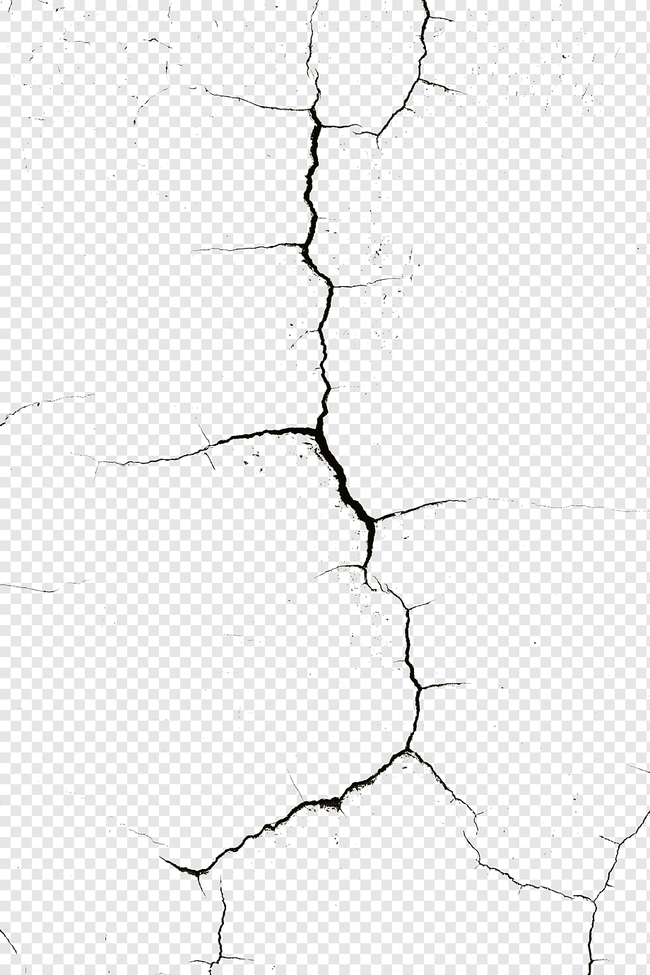 Wall Pattern, Wall cracks, angle, white, branch png