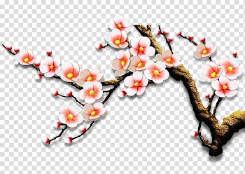 Wall , Plum flower transparent background PNG clipart