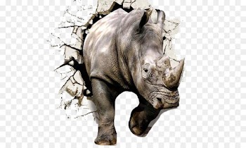 Wall Rhinoceros 3D The Gray Rhino: How to Recognize and Act on the Obvious Dangers We Ignore Paper Wallpaper - Broken wall stereoscopic rhino 