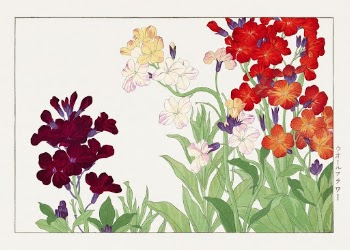Wallflower, Japanese woodblock art from Seiy&ocirc; | Free Photo Illustration - rawpixel