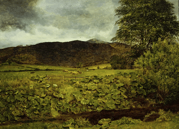Wallow Crag, Cumberland. Original from the Minneapolis | Free Photo - rawpixel