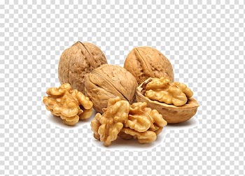 Walnut Breakfast cereal Nucule Dried fruit Food, Walnut transparent background PNG clipart