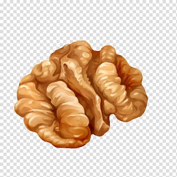 Walnut Cartoon Illustration, Hand-painted walnut transparent background PNG clipart