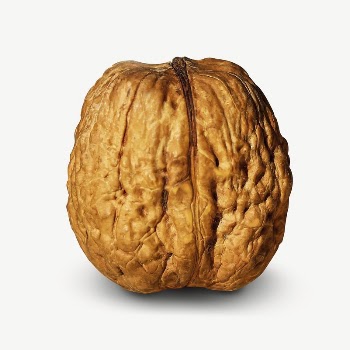 Walnut food collage element psd | Free PSD - rawpixel