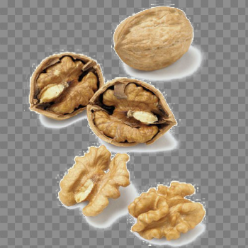 Walnut Free PNG Image