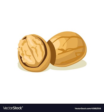 walnut fruit