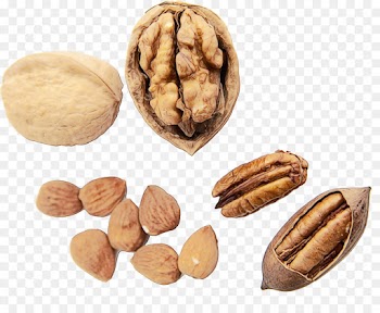 walnut nut nuts & seeds food almond
