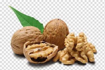 Walnut oil Nucule Dried fruit, Walnut transparent background PNG clipart