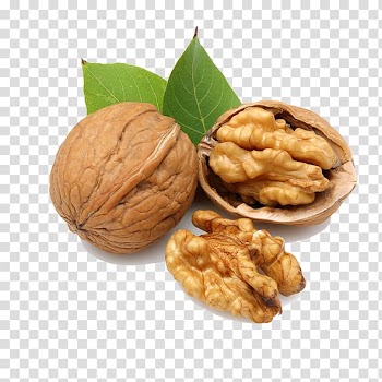 Walnut Organic food Dried fruit Berry, walnut transparent background PNG clipart