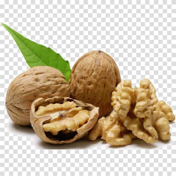 Walnut PNG Background Image