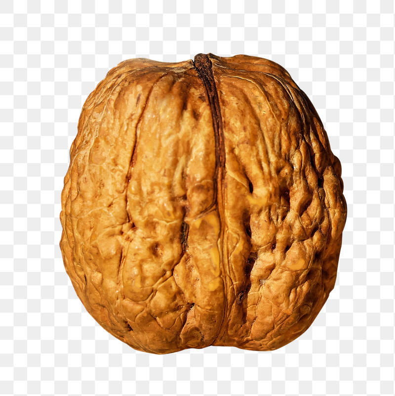 Walnut png food sticker, transparent | Free PNG - rawpixel