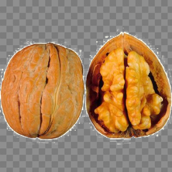 Walnut PNG Free Download