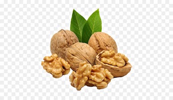 Walnut Portable Network Graphics Clip art Vegetarian cuisine -  