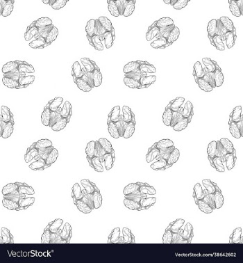 walnut seamless background