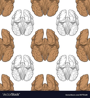 walnut seamless pattern color