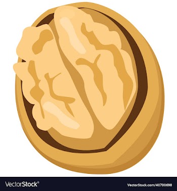walnut sliced fruit
