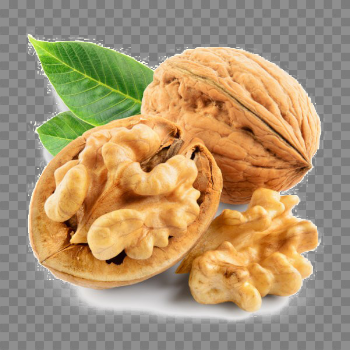Walnut Transparent Image
