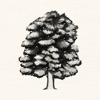 Walnut tree | Free stock vector - 936624