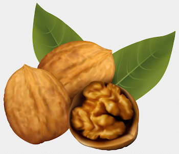 Walnuts PNG Clipart Image | Gallery Yopriceville - High-Quality ...