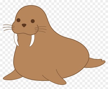 Walrus Clip Art - Walrus Clipart
