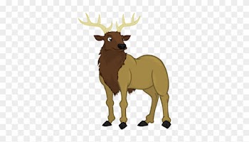 Wapiti Clipart - - Alphabet