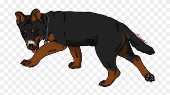 War Wolf - Dog Catches Something