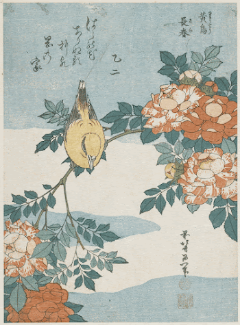 Warbler and Roses (ca.1834) in high | Free Photo - rawpixel