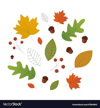 warm and colorful autumn leaves and berries