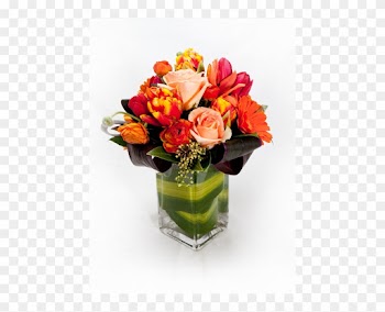 Warm And Cozy - Garden Roses