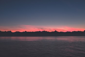 ~ warm summer nights ~
print available @ freezy.darkroom.tech/?post=106799