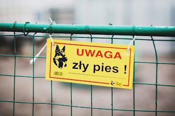 Warning! Bad dog!