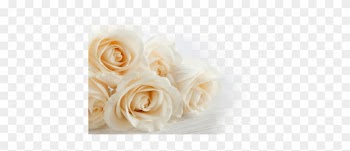 Warning - - Flower For Wedding Png