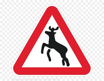 Warning sign Traffic sign Road - road 