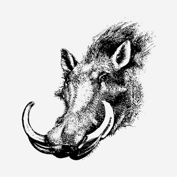 Warthog head drawing, vintage wildlife | Free Photo - rawpixel