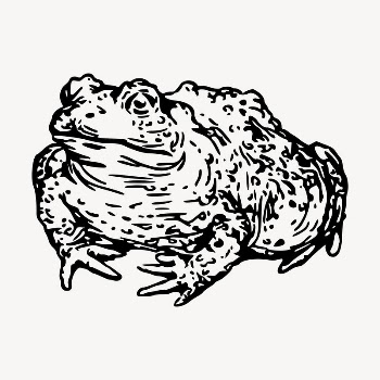 Warty toad clipart, vintage hand | Free Vector - rawpixel