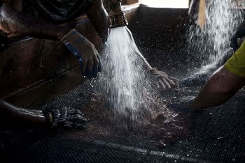 Washing process | Free Photo - rawpixel
