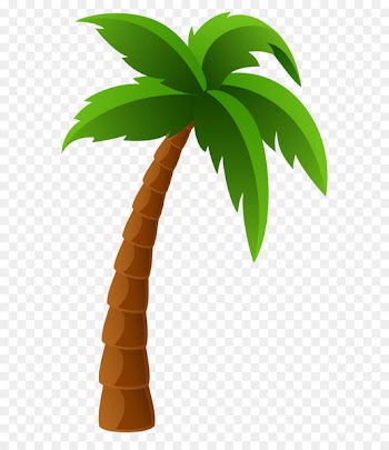 Washingtonia filifera Arecaceae Washingtonia robusta Clip art - Palm Tree PNG Image Clipart 