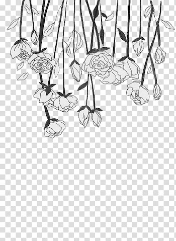 Watch, several white roses transparent background PNG clipart