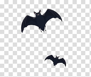 Watchers Feliz Halloween, two black bats illustration transparent background PNG clipart