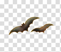 Watchers Feliz Halloween, two black bats transparent background PNG clipart