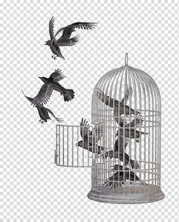 Watchers Resource, gray metal birdcage transparent background PNG clipart