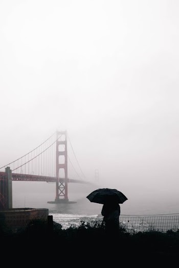 Watching Golden Gate In Fog