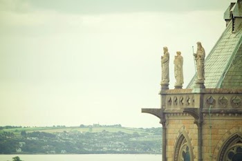          Watching Over Free Photo     