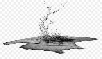 Water -  