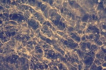 water_01.jpg