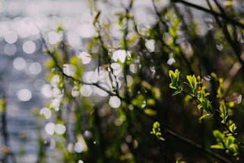 Water bokeh